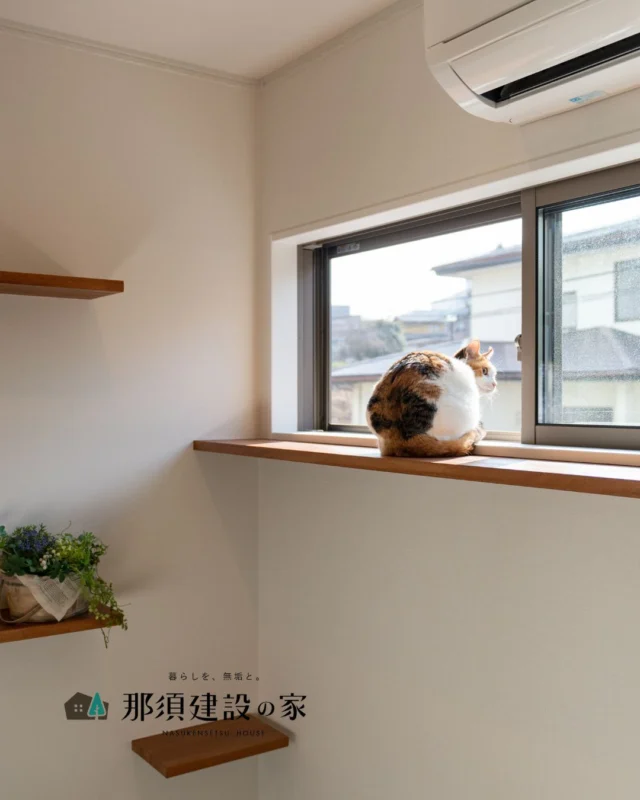 窓辺のキャットスペースで外を眺めるひととき

自然光が入る場所に棚やカウンターを設けることで、
猫ちゃんにとっても心地良い居場所になります

----------------------------------------
暮らしを、無垢と。那須建設の家
----------------------------------------
「つくる」にマジメな家づくり

私たちは「人」に「くらし」に「住まい」にマジメです。
暮らしへのまっすぐな想いは、家づくりへとつながり
木が持つ自然の力をいかす無垢の家にたどり着きました。

ただひたすらに、良い住まいを。
その答えが、私たちの「無垢の家づくり」です。
数多くの現場で培った技術やノウハウをもとに、
住む人の声に耳を傾けつづけます。

「おもい」をともに、つくる
「いいな」をともに、つくる
「くらし」をともに、つくる

住むほどに味わい深くなる無垢の住まいを
ぜひ、私たちとご一緒に。
暮らしを、無垢と。
那須建設の家
----------------------------------------
【最新情報や施工事例はHPにて】
プロフィールのリンクより
@mukunoiedukuri_nas
----------------------------------------　　
#那須建設の家
#暮らしを無垢と
#注文住宅
#無垢の家
#猫と暮らす家
#猫のいる暮らし
#キャットウォーク