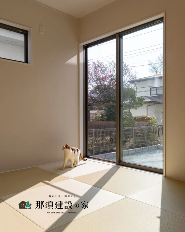 大きな窓からたっぷり光が差し込む和室

畳の心地よさに包まれながら、
のんびり過ごすひととき

猫ちゃんもお気に入りの空間です

----------------------------------------
暮らしを、無垢と。那須建設の家
----------------------------------------
「つくる」にマジメな家づくり

私たちは「人」に「くらし」に「住まい」にマジメです。
暮らしへのまっすぐな想いは、家づくりへとつながり
木が持つ自然の力をいかす無垢の家にたどり着きました。

ただひたすらに、良い住まいを。
その答えが、私たちの「無垢の家づくり」です。
数多くの現場で培った技術やノウハウをもとに、
住む人の声に耳を傾けつづけます。

「おもい」をともに、つくる
「いいな」をともに、つくる
「くらし」をともに、つくる

住むほどに味わい深くなる無垢の住まいを
ぜひ、私たちとご一緒に。
暮らしを、無垢と。
那須建設の家
----------------------------------------
【最新情報や施工事例はHPにて】
プロフィールのリンクより
@mukunoiedukuri_nas
----------------------------------------　　
#那須建設の家
#暮らしを無垢と
#注文住宅
#無垢の家
#和室インテリア
#和室のある暮らし
#和室のある家